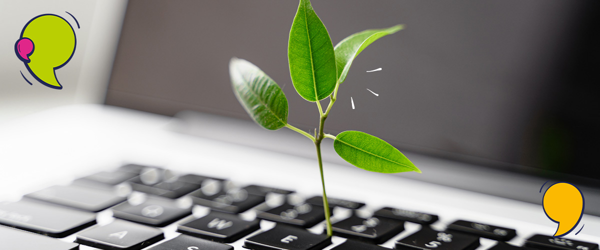 Eco conception web