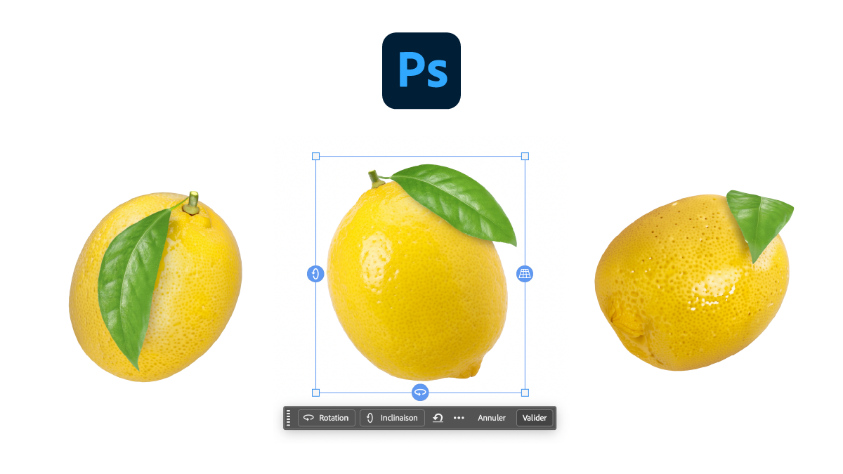Rotation générative dans Illustrator et Photoshop : ce qui change vraiment pour les graphistes